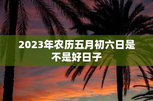 2025年农历五月初六日是不是好日子