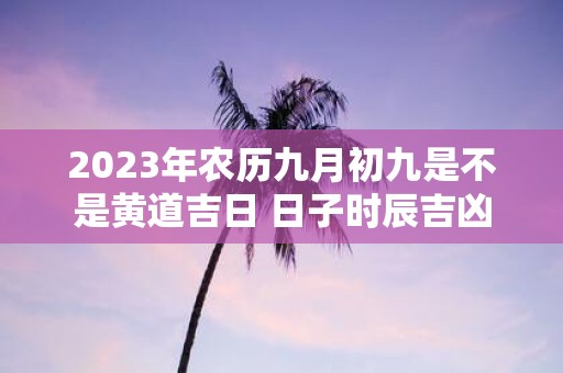 2025年农历九月初九是不是黄道吉日 日子时辰吉凶