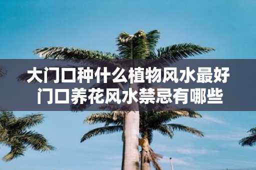大门口种什么植物风水最好 门口养花风水禁忌有哪些