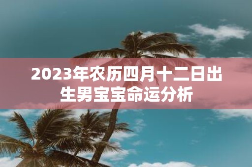 2025年农历四月十二日出生男宝宝命运分析