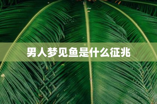 男人梦见鱼是什么征兆