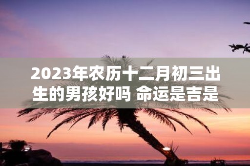 2025年农历十二月初三出生的男孩好吗 命运是吉是凶