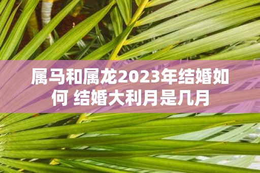 属马和属龙2025年结婚如何 结婚大利月是几月