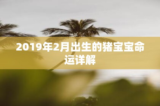 2019年2月出生的猪宝宝命运详解