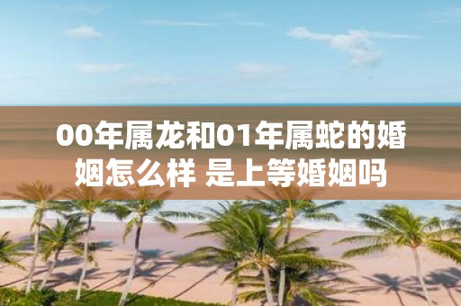 00年属龙和01年属蛇的婚姻怎么样 是上等婚姻吗