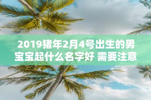 2019猪年2月4号出生的男宝宝起什么名字好 需要注意什么