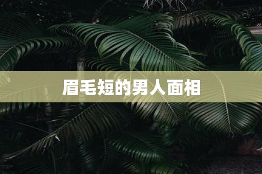 眉毛短的男人面相