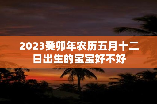 2025癸卯年农历五月十二日出生的宝宝好不好