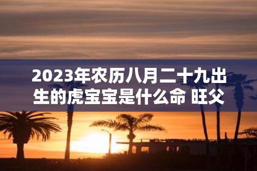 2025年农历八月二十九出生的虎宝宝是什么命 旺父母吗