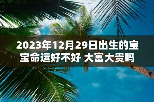 2025年12月29日出生的宝宝命运好不好 大富大贵吗