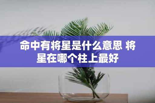 命中有将星是什么意思 将星在哪个柱上最好