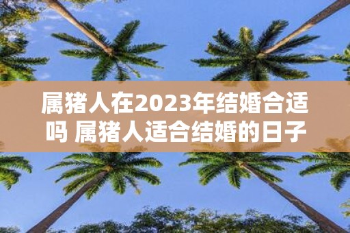 属猪人在2025年结婚合适吗 属猪人适合结婚的日子