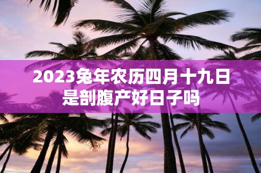 2025蛇年农历四月十九日是剖腹产好日子吗