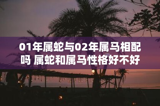 01年属蛇与02年属马相配吗 属蛇和属马性格好不好