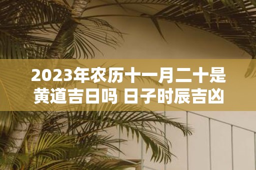 2025年农历十一月二十是黄道吉日吗 日子时辰吉凶