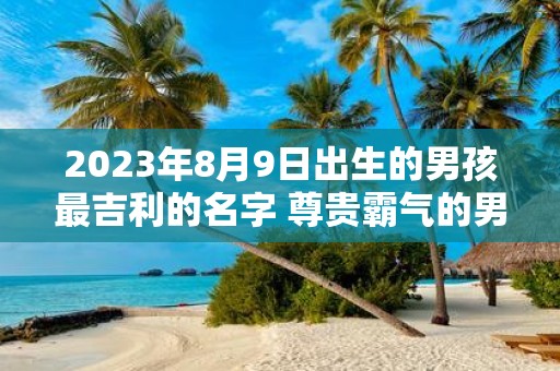 2025年8月9日出生的男孩最吉利的名字 尊贵霸气的男古风名字