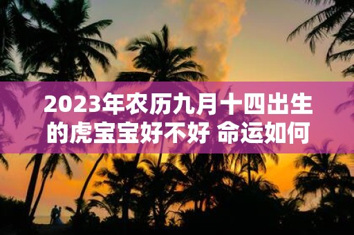 2025年农历九月十四出生的虎宝宝好不好 命运如何