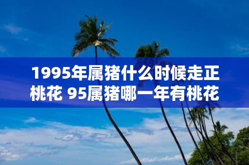 1995年属猪什么时候走正桃花 95属猪哪一年有桃花运