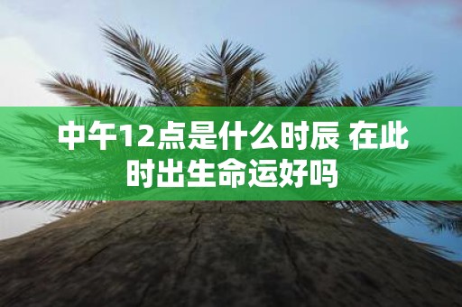 中午12点是什么时辰 在此时出生命运好吗