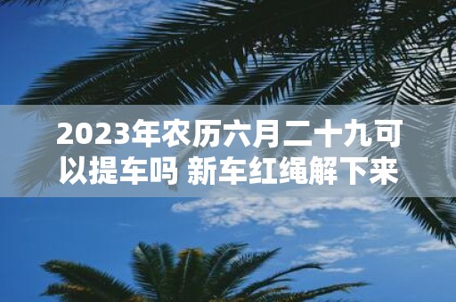 2025年农历六月二十九可以提车吗 新车红绳解下来扔哪里