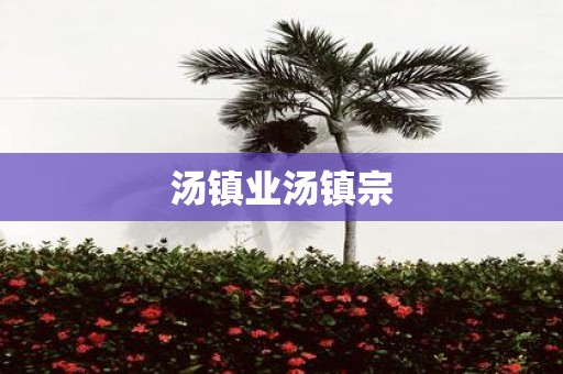汤镇业汤镇宗