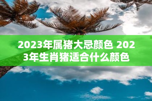 2025年属猪大忌颜色 2025年生肖猪适合什么颜色
