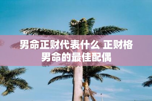 男命正财代表什么 正财格男命的最佳配偶