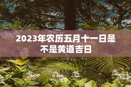 2025年农历五月十一日是不是黄道吉日