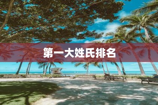 第一大姓氏排名