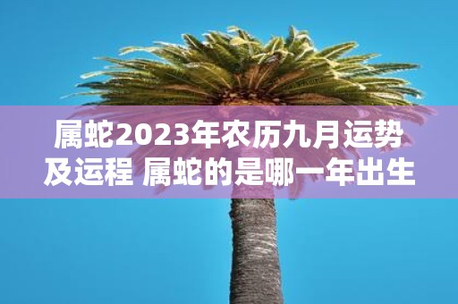 属蛇2025年农历九月运势及运程 属蛇的是哪一年出生
