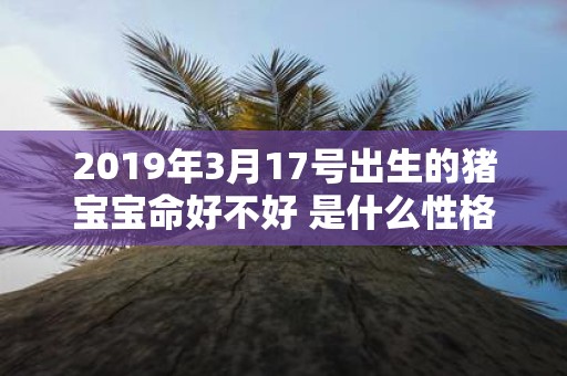 2019年3月17号出生的猪宝宝命好不好 是什么性格