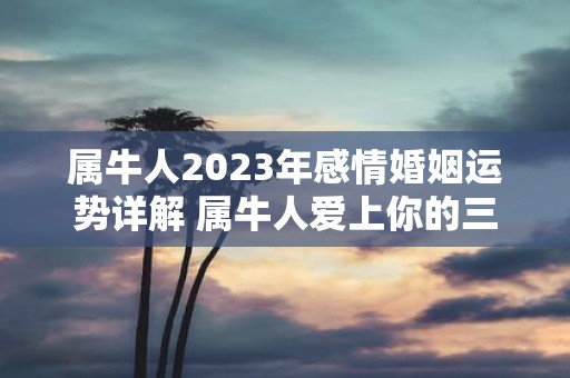 属牛人2025年感情婚姻运势详解 属牛人爱上你的三大表现