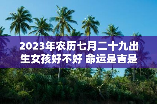 2025年农历七月二十九出生女孩好不好 命运是吉是凶