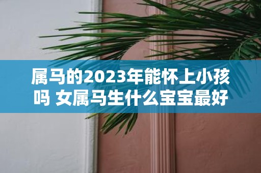 属马的2025年能怀上小孩吗 女属马生什么宝宝最好