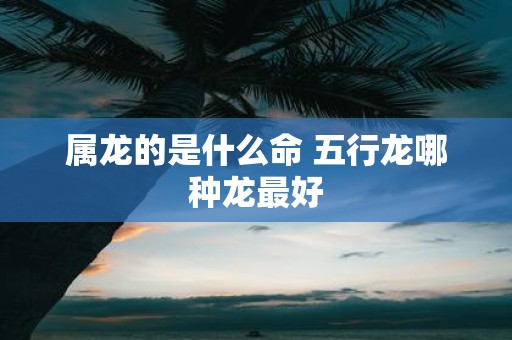 属龙的是什么命 五行龙哪种龙最好