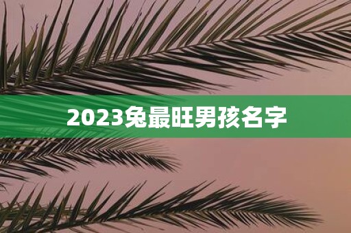 2025兔最旺男孩名字