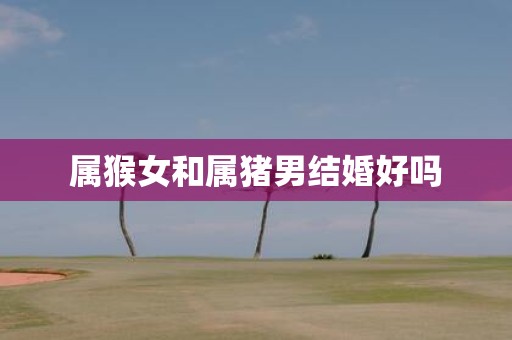 属猴女和属猪男结婚好吗