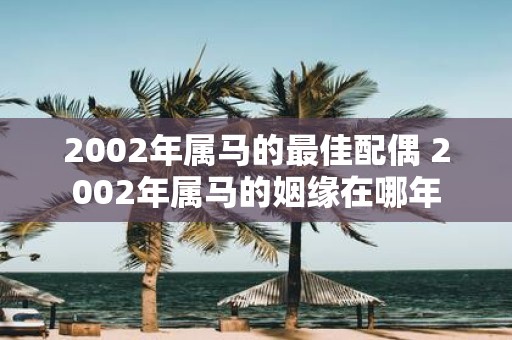 2002年属马的最佳配偶 2002年属马的姻缘在哪年