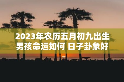 2025年农历五月初九出生男孩命运如何 日子卦象好吗