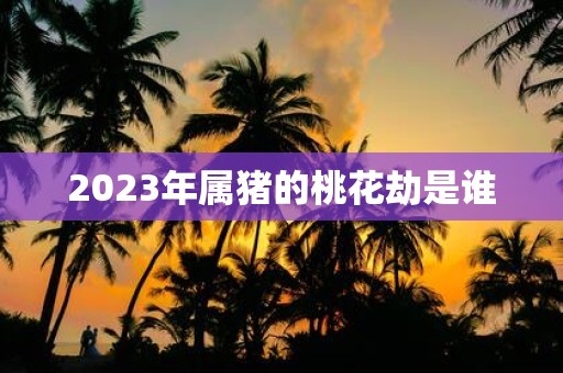 2025年属猪的桃花劫是谁