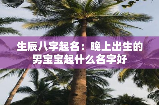 生辰八字起名：晚上出生的男宝宝起什么名字好