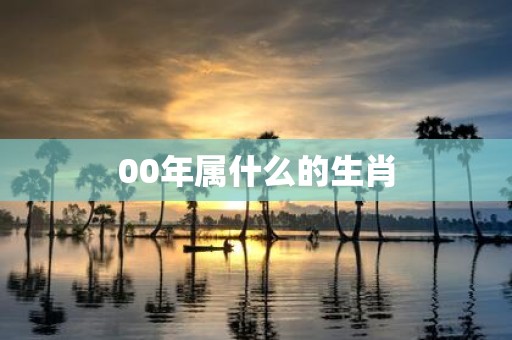 00年属什么的生肖