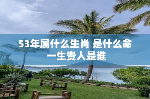53年属什么生肖 是什么命 一生贵人是谁