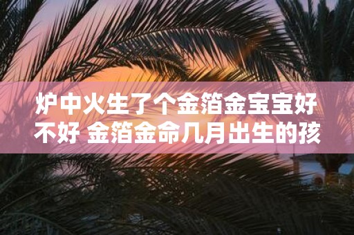 炉中火生了个金箔金宝宝好不好 金箔金命几月出生的孩子好