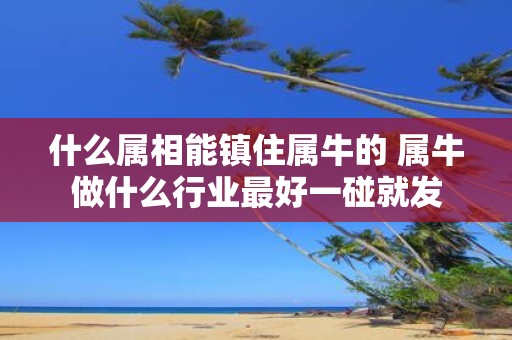 什么属相能镇住属牛的 属牛做什么行业最好一碰就发
