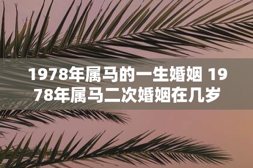 1978年属马的一生婚姻 1978年属马二次婚姻在几岁