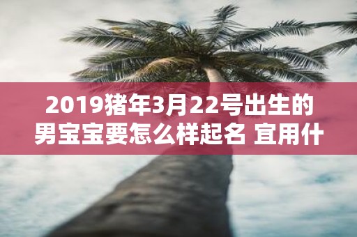 2019猪年3月22号出生的男宝宝要怎么样起名 宜用什么字