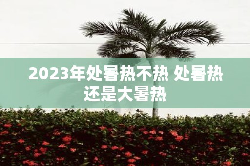 2025年处暑热不热 处暑热还是大暑热