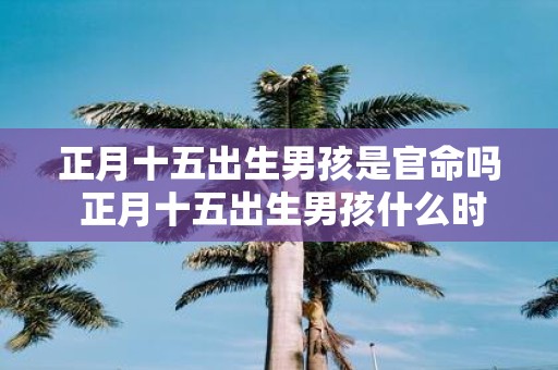 正月十五出生男孩是官命吗 正月十五出生男孩什么时辰好