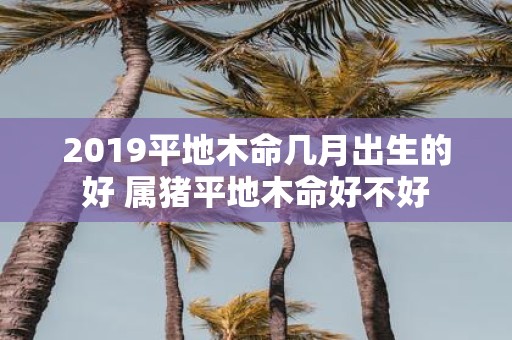 2019平地木命几月出生的好 属猪平地木命好不好